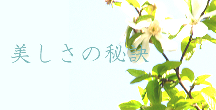 美しさの秘訣